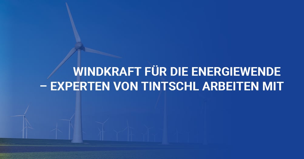 Tintschl-Experten für die Windkraft