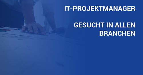 Tintschl-Blog-Titelbild_IT-Projektmanager
